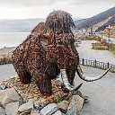 ���� ���������, �������, 47 ��� - ��������� 29 ������ 2026