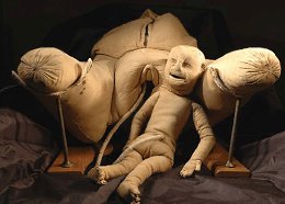 �����������