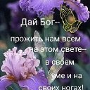���� Eu, �������, 72 ���� - ��������� 2 ������� 2024