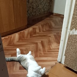 ���� �������, ������, 46 ��� - ��������� 16 ����� 2025