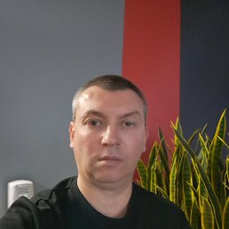 �����, 46 ���, ��������