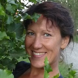 ����� ����������, ���������� �����, 50 ���