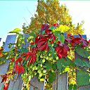 ���� ����� ��, ������, 42 ���� - ��������� 23 �������� 2025 � ������ ���� ����������