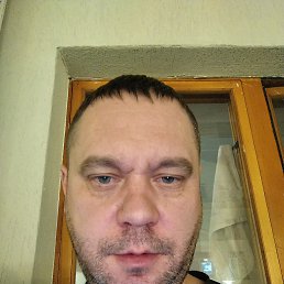 �������, 41 ���, ������