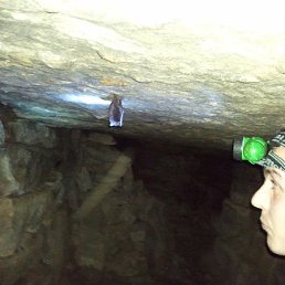 ���� �������, ��������, 41 ��� - ��������� 27 ������ 2024