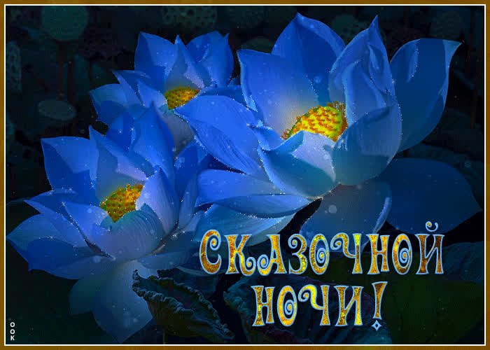����� - 9 ���� 2026 � 00:04