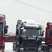 ������, 41 ���, ���������