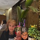 � ������� ��������� �� ������� ��������� � �������� ������� 2024�