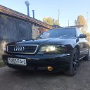 ���� ������, ������, 40 ��� - ��������� 12 ������� 2025 � ������ ���� ����������