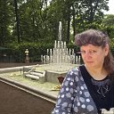 ���� ������, ��������, 49 ��� - ��������� 14 ������ 2026 � ������ ���� ����������