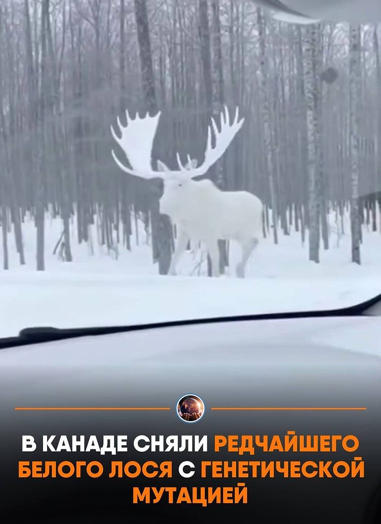������ c�e�a� o������ o�epa�op, �o�op�� �o��ep����, ��o ���a�o� �e�poce�� ��ec� �e�: �a �o�o ...