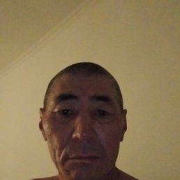 , 52, 