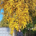 ���� ������, ����������, 60 ��� - ��������� 12 ������� 2025 � ������ ���� ����������