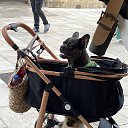 ���� ��������, ������ - ��������� 28 �������� 2025 � ������ ���� ����������