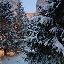 ���� Belle, ������ - ��������� 8 ������� 2025 � ������ ���� ����������