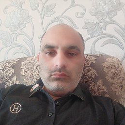 , 41, 