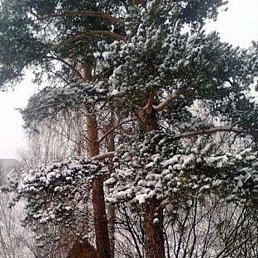 ���� Ը��� Rk4lwe, ���������, 71 ��� - ��������� 26 ������� 2025