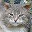 ���� ���������, �������, 48 ��� - ��������� 10 �������� 2025