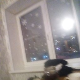 ���� ���������, ������, 39 ��� - ��������� 16 ������ 2024