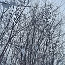 ���� �������, ������ - ��������� 8 ������� 2026 � ������ ������ ��������