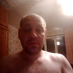 ���� ���������, ������������, 39 ��� - ��������� 4 ������ 2024