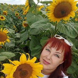 ���� �������, ����������, 54 ���� - ��������� 24 ������� 2025