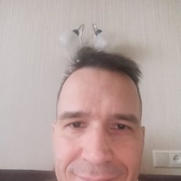 �������, 41 ���, ��������