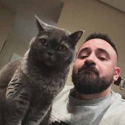 ���, �������, 37 ���