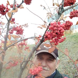 ��������, 59 ���, ��������