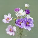 ���� /~����/�, ���������� - ��������� 18 ������� 2025 � ������ ������ ��������