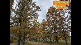 ��� �� ������� ����� �� ����� ������. ��� ������ ��� ������ ���� ������. ���� ���������� ������, ������� ��� �����, ������� - �����������. � � ���� ������, � ���� ���� ��������� ���� - ���� ������ �...