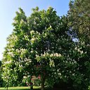 ���� Alexander, ������, 62 ���� - ��������� 1 ������� 2023 � ������ �������