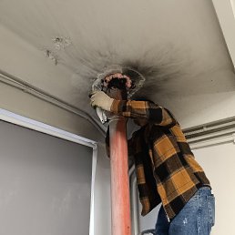 ���� ������, ������, 53 ���� - ��������� 13 �������� 2026