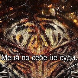 ���� �����, ������, 28 ��� - ��������� 29 ������ 2026