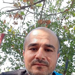 , 41 , 