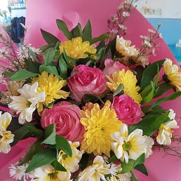 Nare, ������, 28 ���