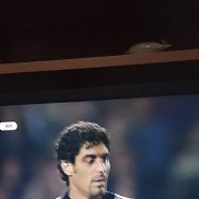 �����, 36 ���, ������