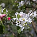 ���� ����, �������, 47 ��� - ��������� 22 ��� 2024 � ������ ���� ����������