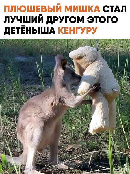 ������� �������� �������� ���� ����� ������� ������. ��������� ������� �������� � ������ �������� � ...