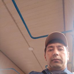 , 33, 