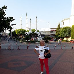 ������, �������, 67 ���