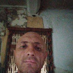, 40 , 