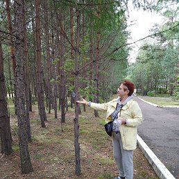 , 65, 