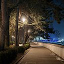 ���� �������, �����������, 63 ���� - ��������� 12 ������� 2024 � ������ ������ �����������
