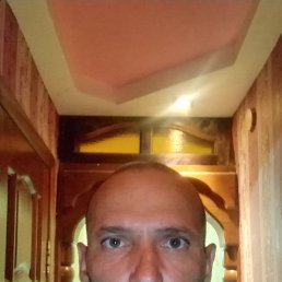 , 37, 