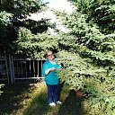 ���� ������, ������������, 71 ��� - ��������� 27 ������ 2026 � ������ �������