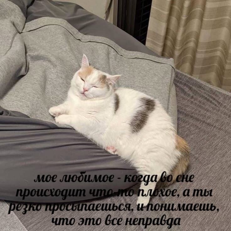    - 29  2024  11:34