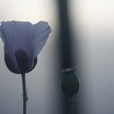 ���� �����, ������, 31 ��� - ��������� 4 ���� 2024 � ������ ���� ����������