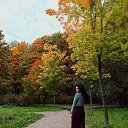 ���� �����, �����-���������, 29 ��� - ��������� 14 �������� 2025 � ������ ���� ����������