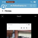 ���� ����, ������, 60 ��� - ��������� 11 ��� 2026 � ������ ���� ����������